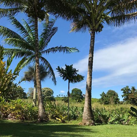 Island Goode'S - Luxury Adult Only Accommodation Near Hilo Papaikou Zewnętrze zdjęcie