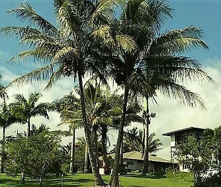 Island Goode'S - Luxury Adult Only Accommodation Near Hilo Papaikou Zewnętrze zdjęcie