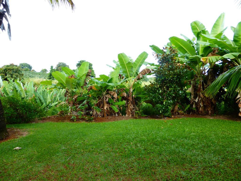 Island Goode'S - Luxury Adult Only Accommodation Near Hilo Papaikou Zewnętrze zdjęcie