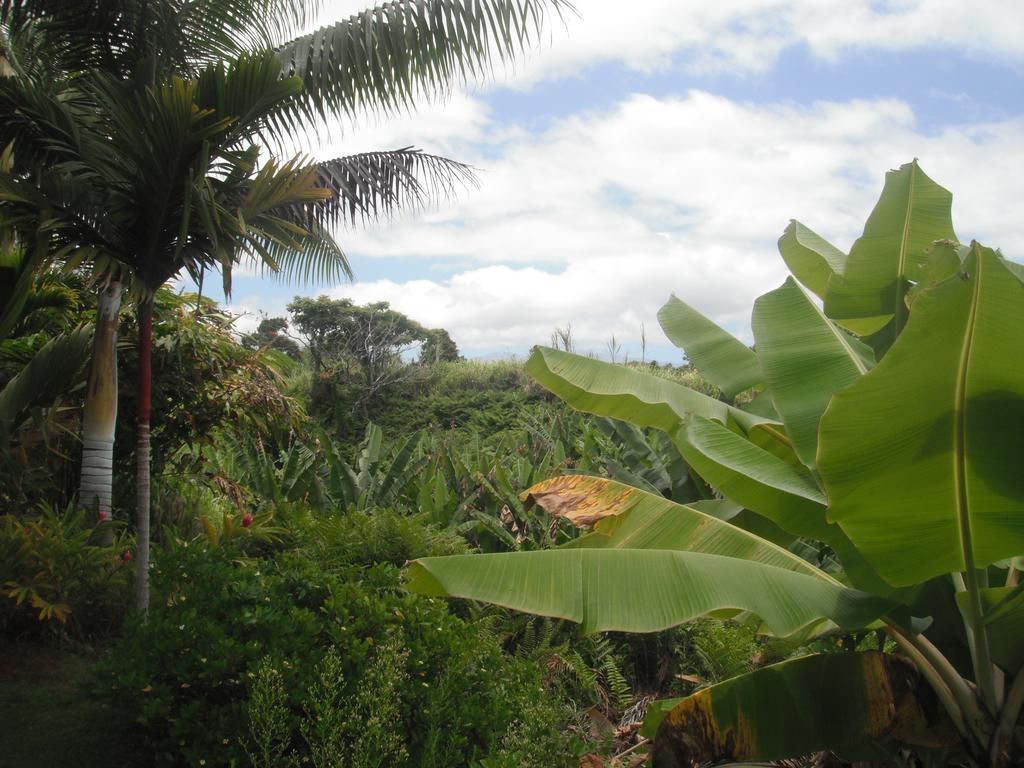 Island Goode'S - Luxury Adult Only Accommodation Near Hilo Papaikou Zewnętrze zdjęcie