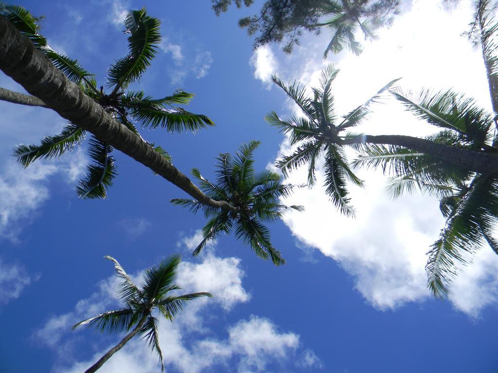 Island Goode'S - Luxury Adult Only Accommodation Near Hilo Papaikou Zewnętrze zdjęcie
