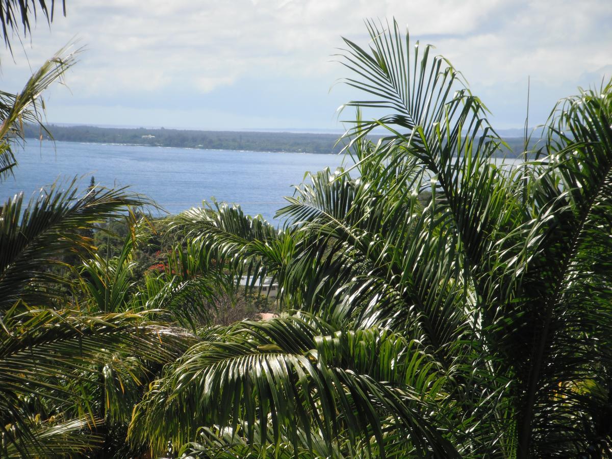 Island Goode'S - Luxury Adult Only Accommodation Near Hilo Papaikou Zewnętrze zdjęcie