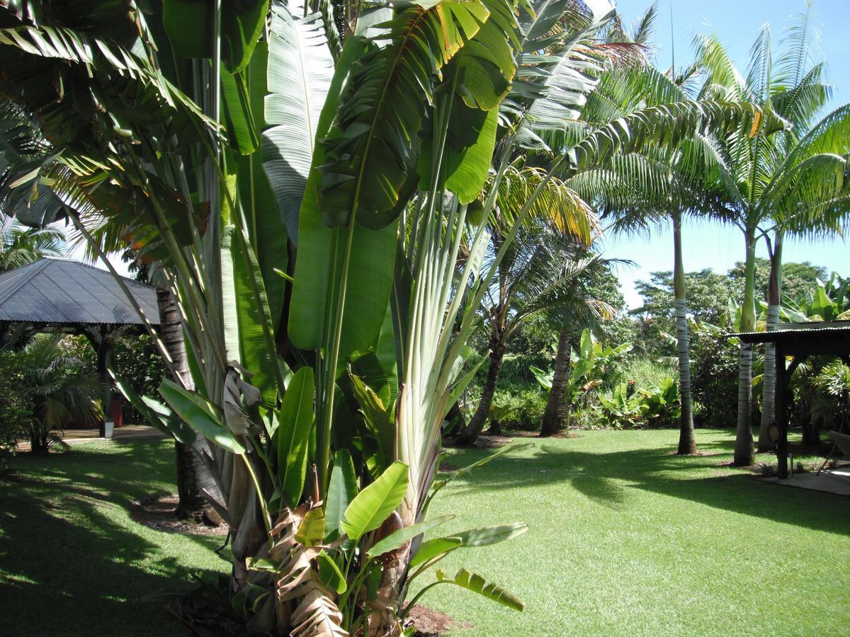 Island Goode'S - Luxury Adult Only Accommodation Near Hilo Papaikou Zewnętrze zdjęcie