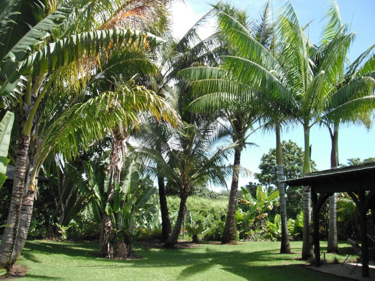 Island Goode'S - Luxury Adult Only Accommodation Near Hilo Papaikou Zewnętrze zdjęcie