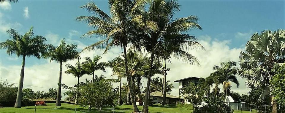 Island Goode'S - Luxury Adult Only Accommodation Near Hilo Papaikou Zewnętrze zdjęcie
